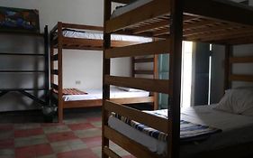 Luna International Hostel